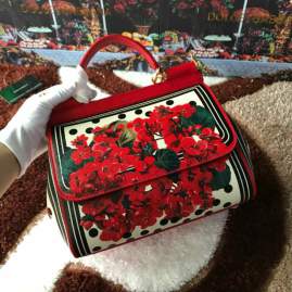 Picture of Dolce Gabbana Handbags _SKUfw69905956fw